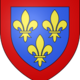 Blason duche fr anjou (moderne).svg