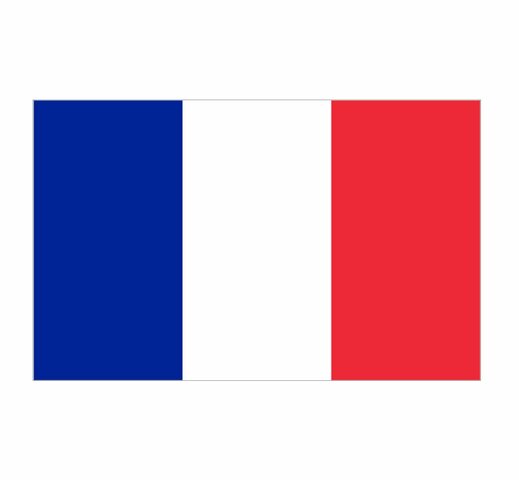 French revolution