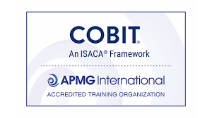 Segunda edicion de COBIT