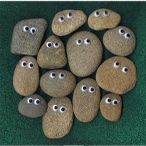 Pet Rock