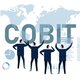Cobit icono
