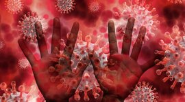 Timeline: ΠΑΝΔΗΜΙΕΣ 20ος-21ος (Γ3 ομάδα Γ)