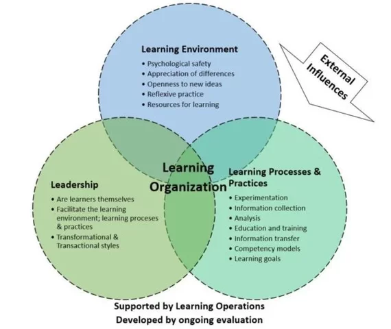 Learning Organization