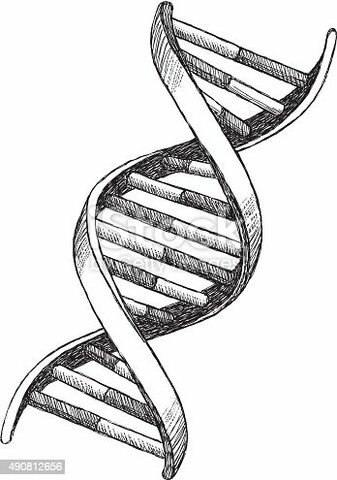 Descobriment de l’ADN