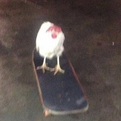 Timeline: Cronología de Proyectos artísticos