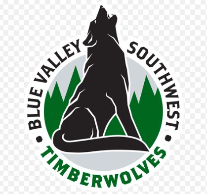 First day at BVSW (online because of covid)