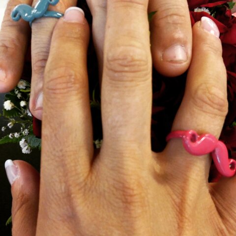 LA BODA DELS MEUS PARES