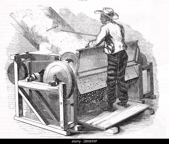 Desmotadora de algodón