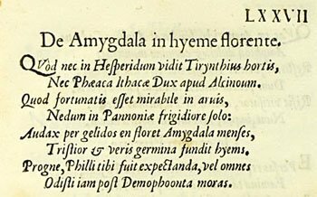 Egy dunántúli mandulafáról