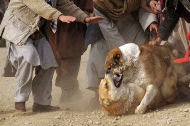 Gets sold to cruel master