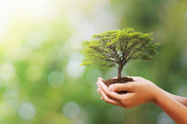 Ser humano como ser integral