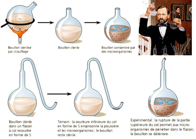 Luis Pasteur