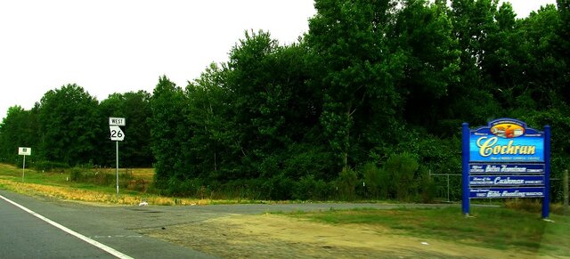 Medical Practitioner