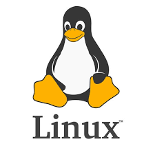 Stallman's GNU helps create Linux