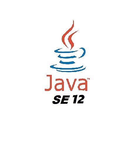 JAVA 12