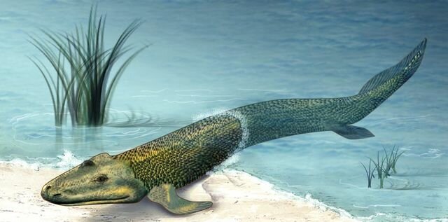 La vida empieza a florecer en tierra firme (hace 370 millones de años)