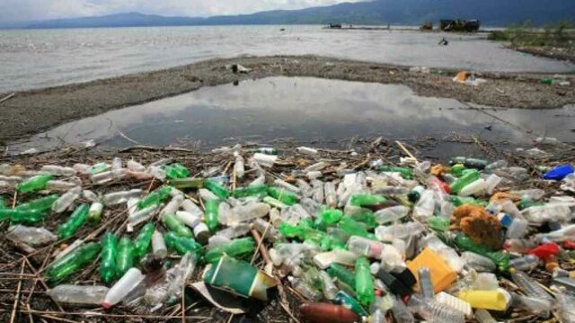 El Antropoceno (actualidad)