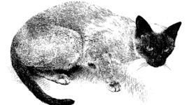 Timeline: Ming's Biggest Prey