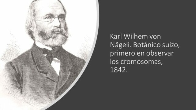 Descobriment dels cromosomes