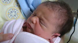 Timeline: LA MEVA AUTOBIOGRAFIA