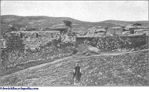 Strange Nations Transplanted into Samaria