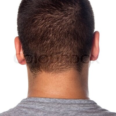 Timeline: Timmy's Timeline