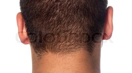 Timeline: Timmy's Timeline