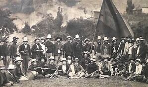 Batalla de palo negro