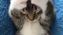 Timeline: Erikson Timeline