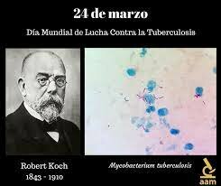 PASTEUR Y KOCH opinion