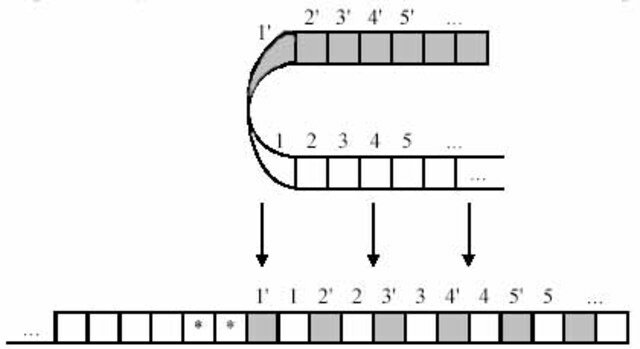 1937 год. Машина Тьюринга