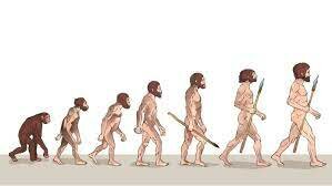 theory of biological evolution