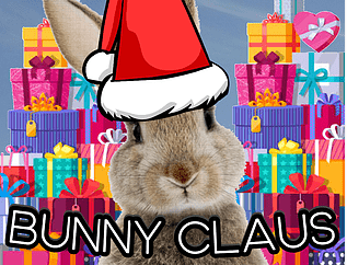 El meu propi videojoc