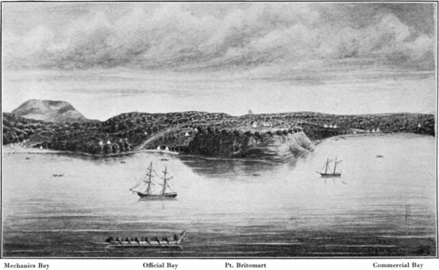 Ngāti Whātua Gifts 3000acres for Auckland