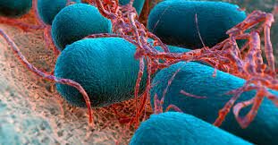 Desarrollo de tratamiento para la lepra