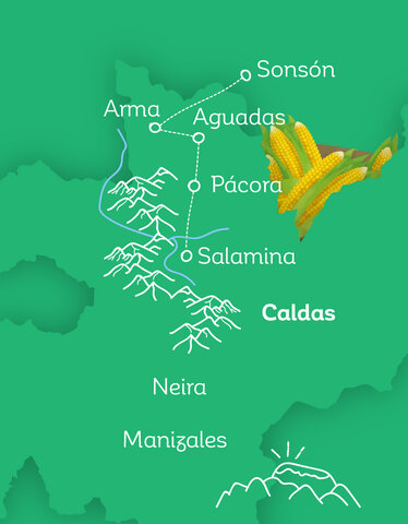 Camino de oro