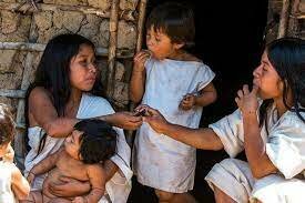poblacion indigena en Colombia