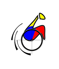 Poblacion en situacion de discapacidad