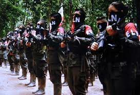 Surgimiento  del ELN