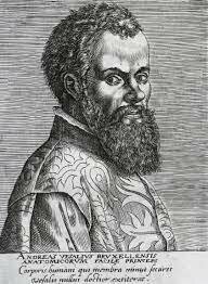 Vesalius