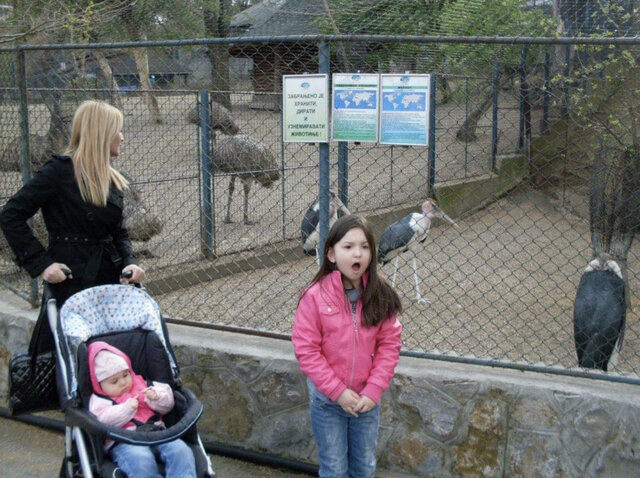 First Zoo Visit