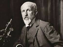 Descobriment de la meiosi