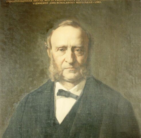 La cèl·lula es l'unitat basica