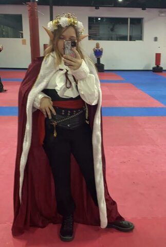 Made my second halloween costume