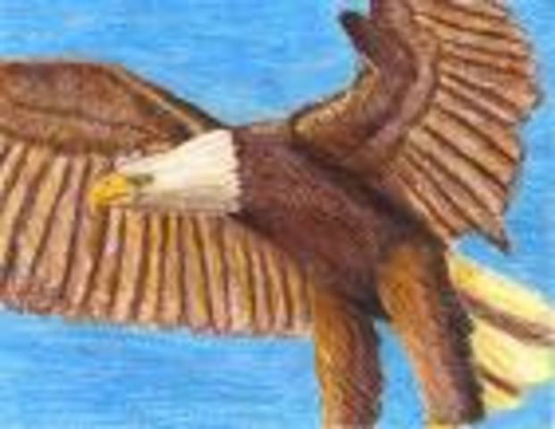 Came to Everitt middle school with friend.