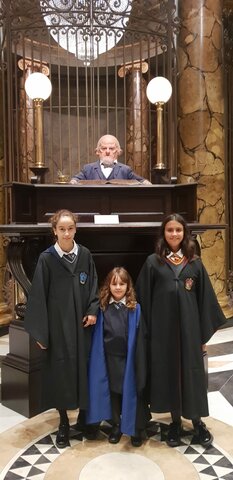 Viatge als estudis de Harry Potter