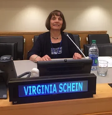 Journal of Social Issues Journal of Social Issues A Global Look at Psychological Barriers to Women's Progress in Management
