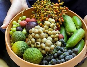 before European settlers