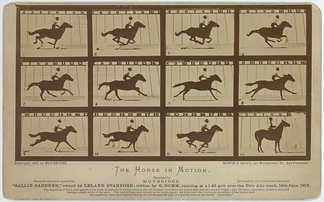 The Horse in Motion