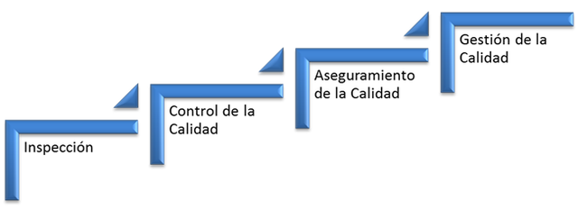 IMPORTANCIA DE SU EVOLUCIÓN